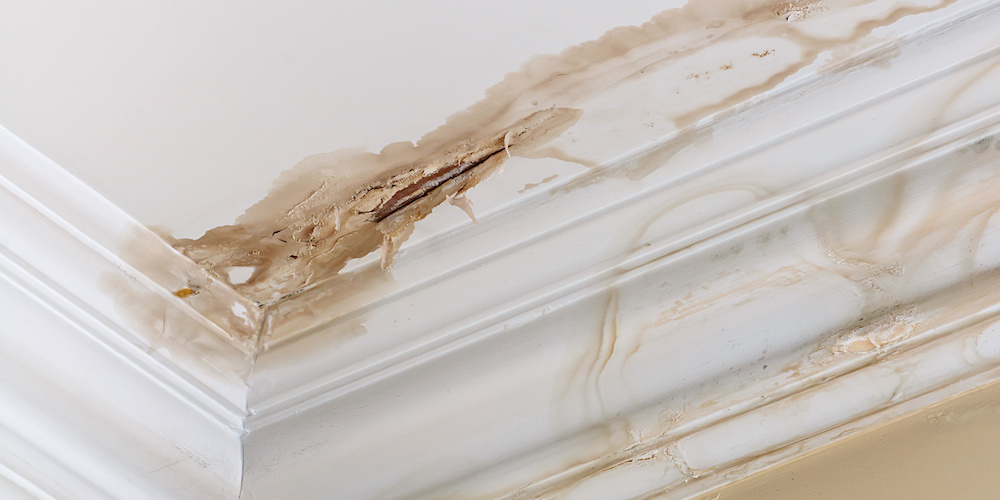 Ceiling Water damage